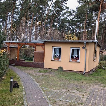 Spreewaldhaeuser Golinski Mit Kamin Am Neuendorfer See Alt Schadow Dış mekan fotoğraf