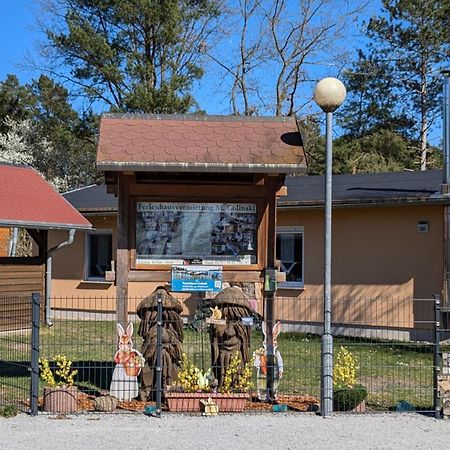 Spreewaldhaeuser Golinski Mit Kamin Am Neuendorfer See Alt Schadow Dış mekan fotoğraf