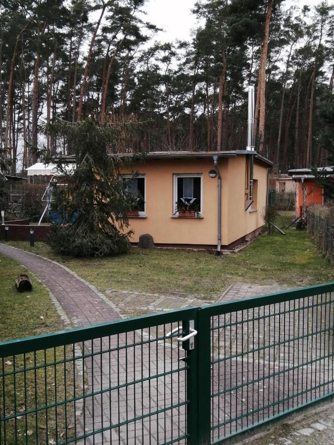 Spreewaldhaeuser Golinski Mit Kamin Am Neuendorfer See Alt Schadow Dış mekan fotoğraf
