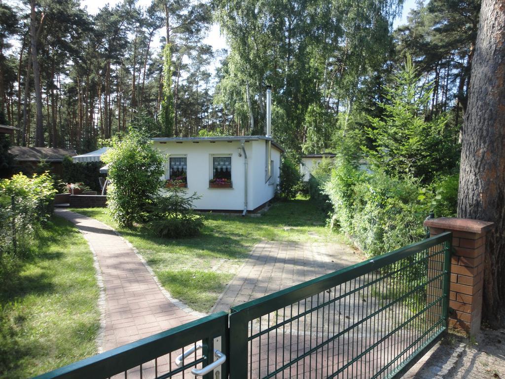 Spreewaldhaeuser Golinski Mit Kamin Am Neuendorfer See Alt Schadow Dış mekan fotoğraf