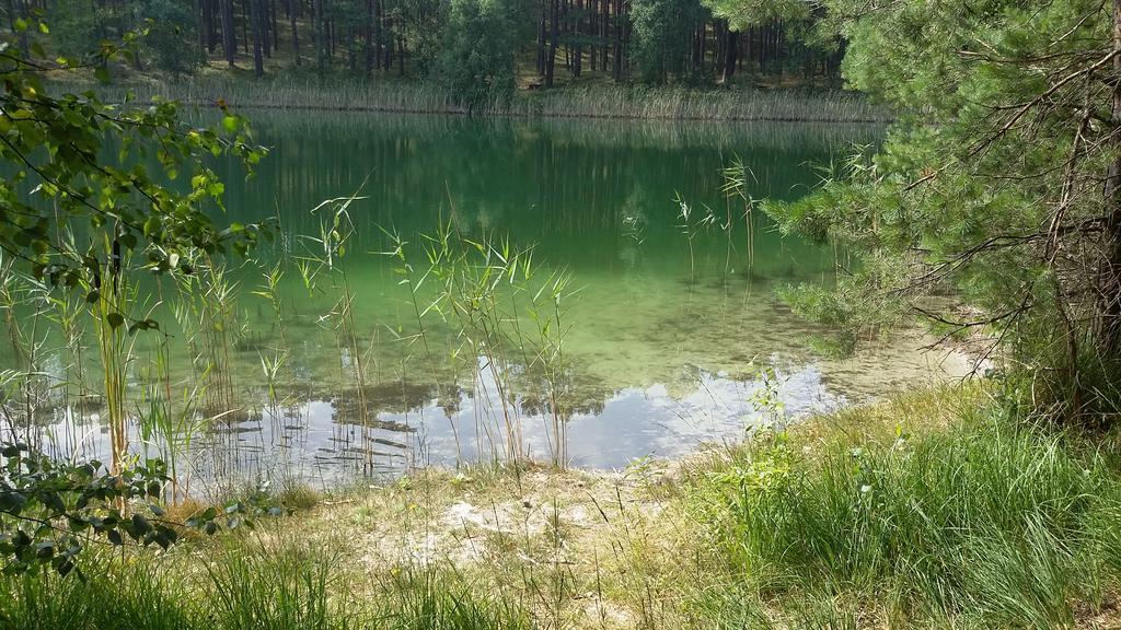 Spreewaldhaeuser Golinski Mit Kamin Am Neuendorfer See Alt Schadow Dış mekan fotoğraf